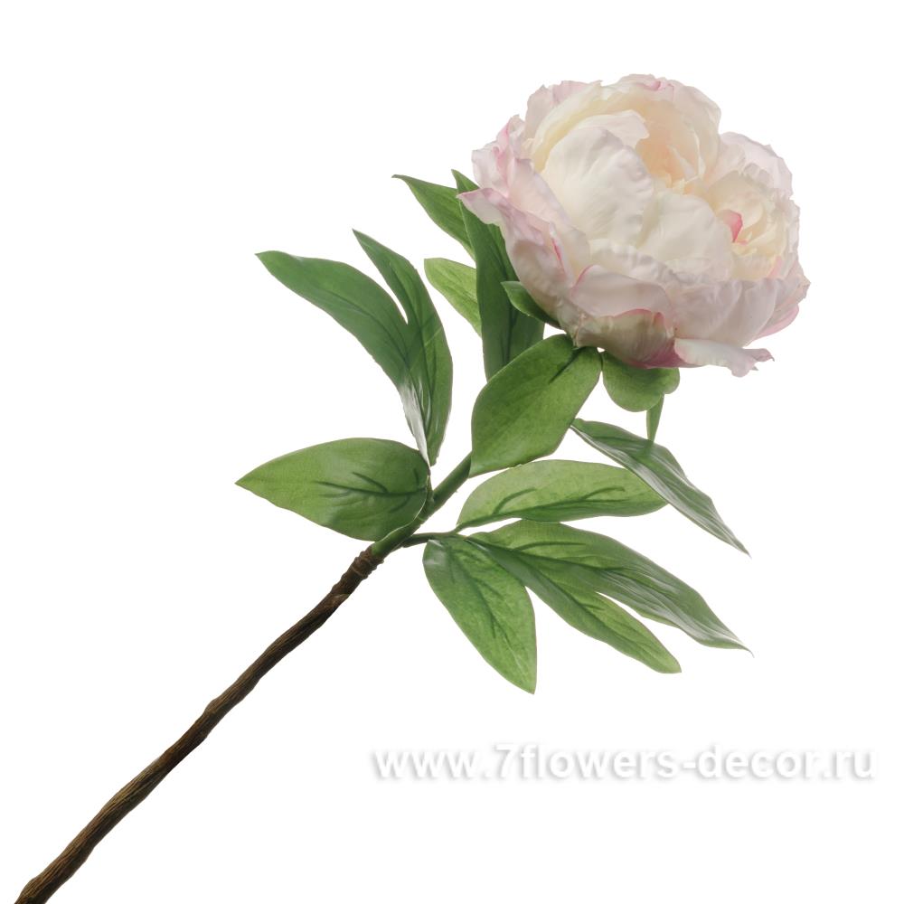 Extra flowers