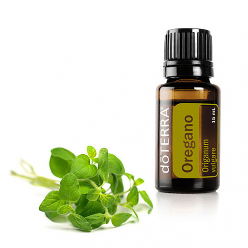 Орегано эфирное масло Oregano Essential Oil