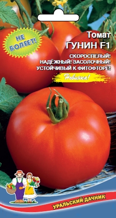 Томат Марьина Роща Фото