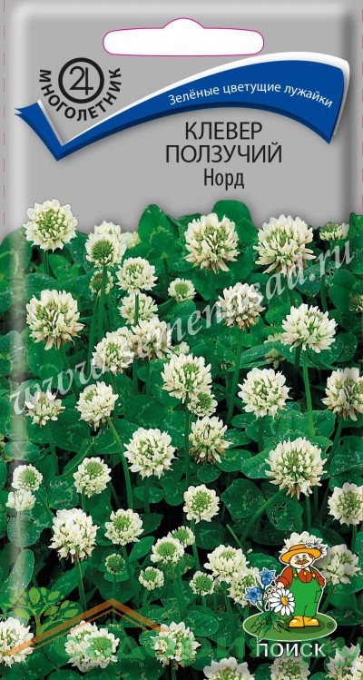 Клевер ползучий семена. Клевер Нанук ползучий. Клевер Витязь Луговой. Клевер Гавриш. Газон Клевер Витязь Луговой 20г Гавриш.