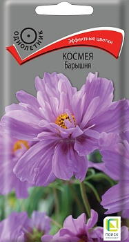 Цветы Космея Барышня 0,1 г ц/п Поиск (однол.)