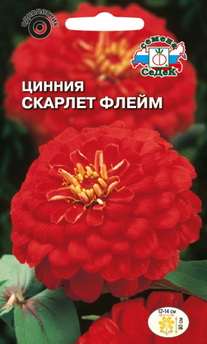 Цветы Цинния Скарлет флейм 0,5 г ц/п Седек