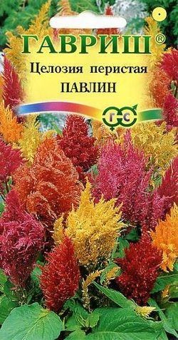 Цветы Целозия Павлин перистая 0,05 г ц/п Гавриш