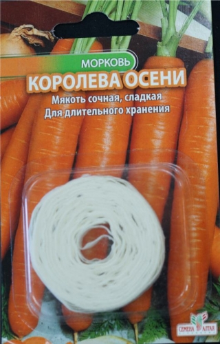 Морковь НА ЛЕНТЕ королева осени 