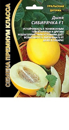 Дыня Сибирячка (10 шт.)