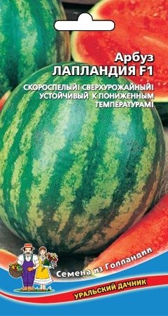 Арбуз Лапландия (3 шт.) 