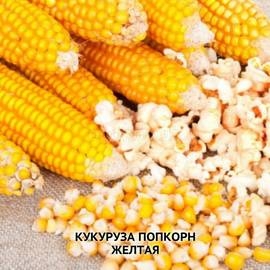 Кукуруза попкорн  (5 гр.)