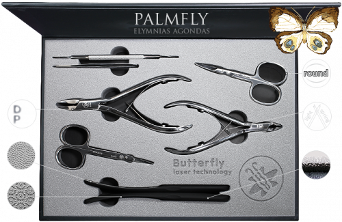PalmFly 810