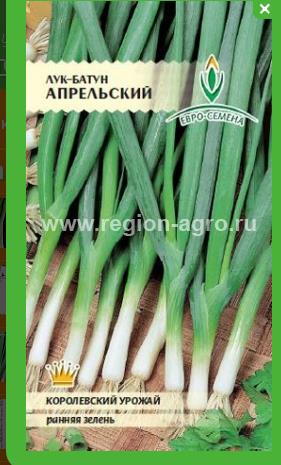 Дед с луковицей. Семена лук батун апрельский. Лук батун семена. Лук под зиму семена алтая. Лук дед 1г.