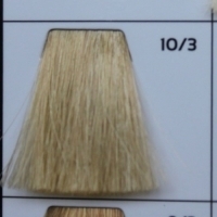 10.3 Ultra blond wheaten светлый блондин пшеничный