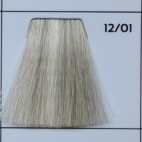 12.01 Ultra light ash blond экстра блонд пепельный 1