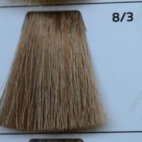 8.3 light golden blond светло-русый золотистый