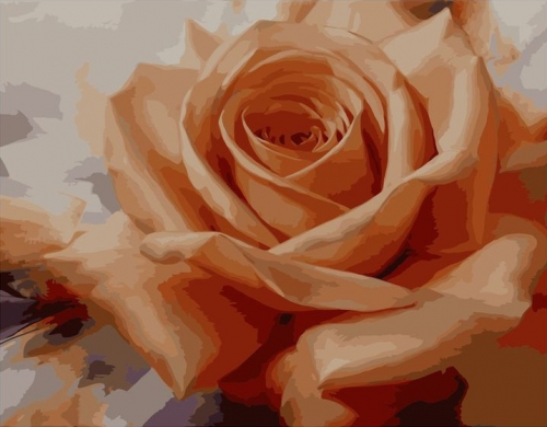Картина по номерам 40х50 - Оранжевая роза (худ. Левашов И.)