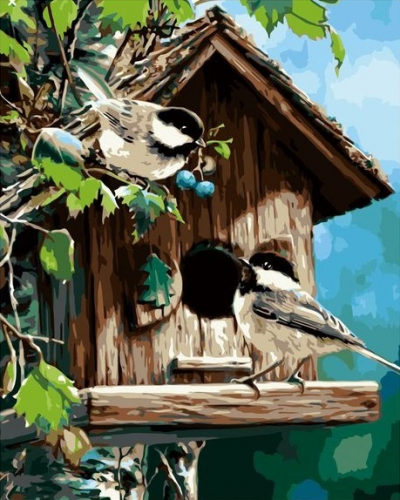 Картина по номерам 40х50 - Птички у скворечника