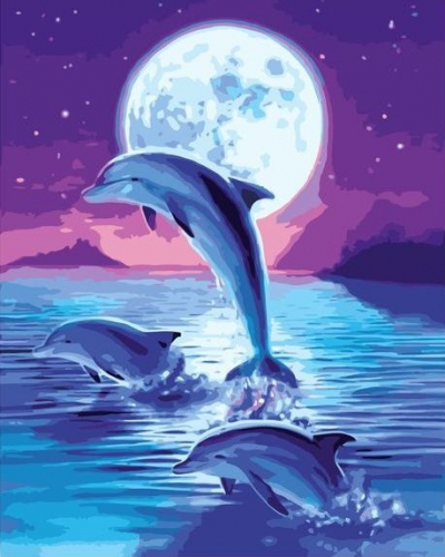 Картина по номерам 40х50 - Дельфины под луной