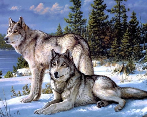 Картина по номерам 40х50 - Северные волки