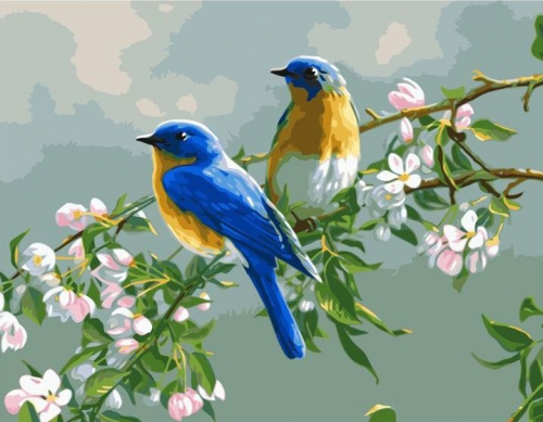 Картина по номерам 40х50 - Голубые птички