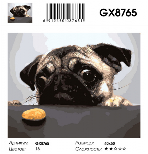 GX 8765 Картины 40х50 GX и US