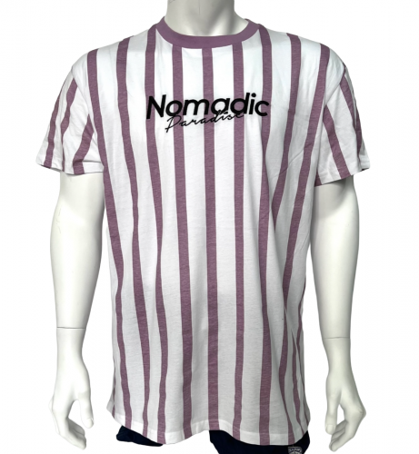 Светлая мужская футболка Nomadic в полоску  №514