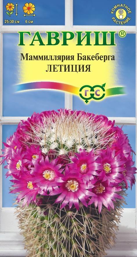 Цветы Кактус Маммиллярия Бакеберга Летиция 2 шт ц/п Гавриш (комн.)