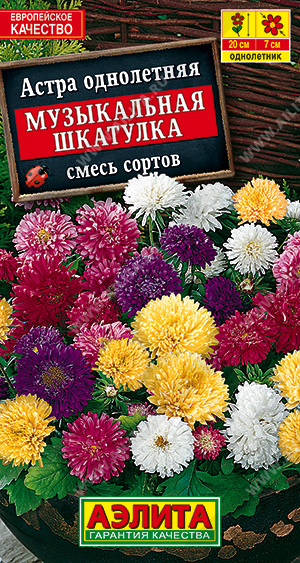 Цв. Астра карлик Музыкальная шкатулка, смеь 0,2 г ц/п Аэлита