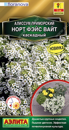 Цветы Алиссум Норт фэйс ВАЙТ каскадный 10 шт ц/п Аэлита (однол.)