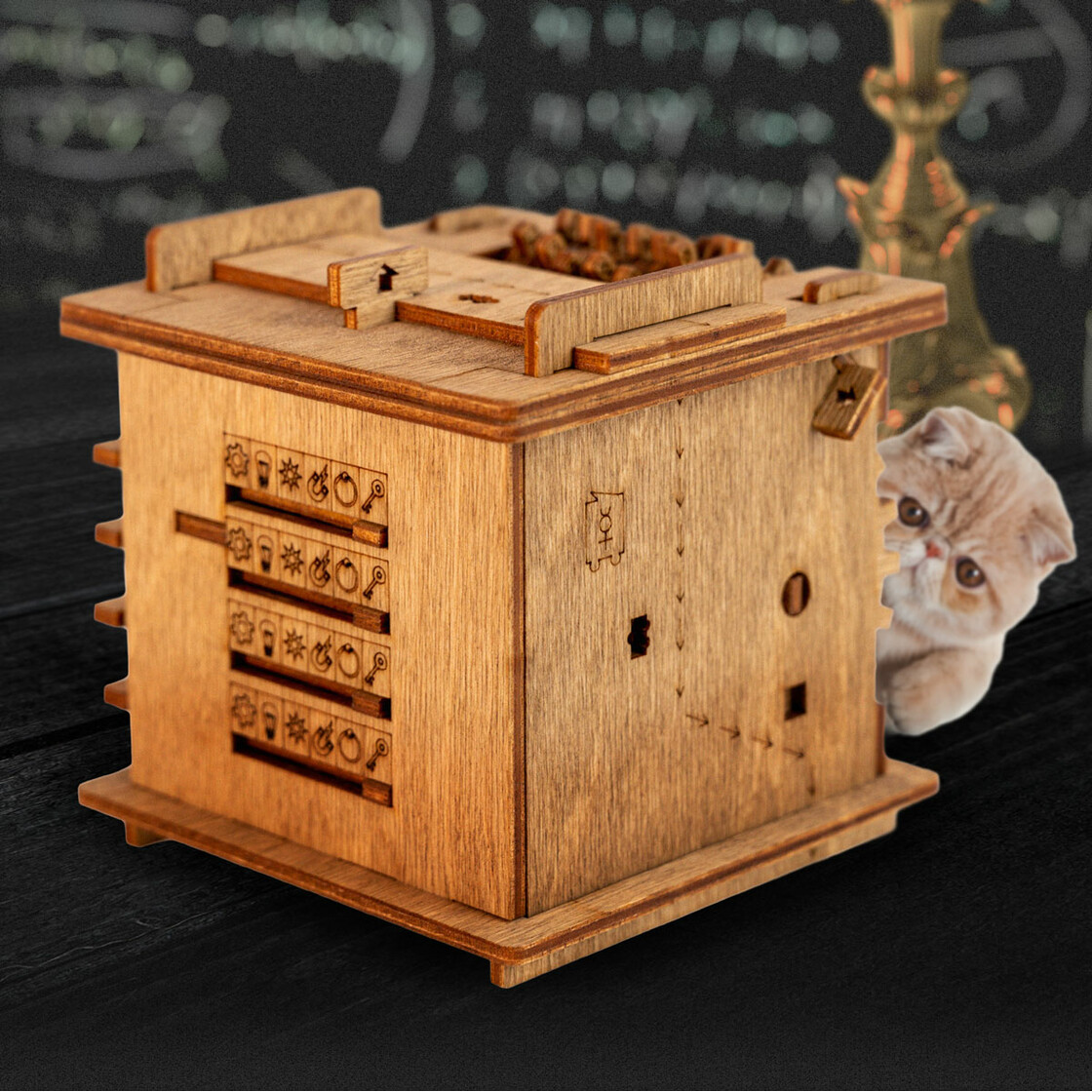 Настольная игра: Квестбокс: Кот Шрёдингера