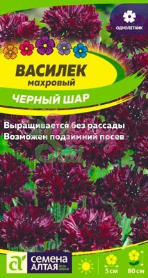Цветы Василек Черный шар махровый (0,5 г) Семена Алтая