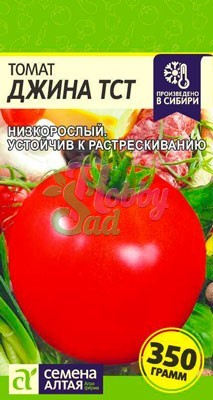 Томат Джина ТСТ (0,1 г) Семена Алтая