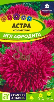 Цветы Астра Афродита Игл (0,2 гр) Семена Алтая
