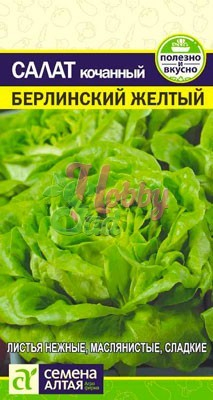 Салат Берлинский желтый (0,5 гр) Семена Алтая
