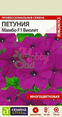 Цветы Петуния Мамбо Виолет F1 карликовая (10 шт) Семена Алтая