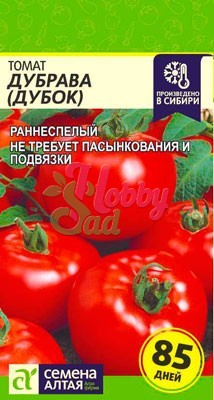 Томат Дубок (Дубрава) (0,1 г) Семена Алтая