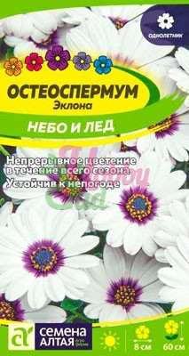 Цветы Остеоспермум Небо и Лед (0,1 гр) Семена Алтая