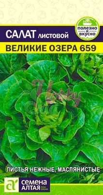 Салат Великие Озера-659 (0,5 гр) Семена Алтая