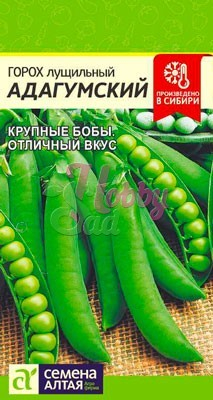 Горох Адагумский (10 гр) Семена Алтая