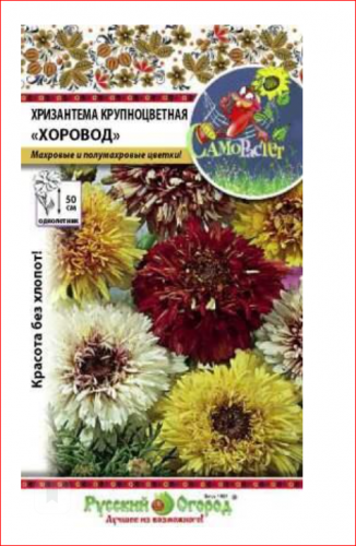 20руб.30руб.Н.Х. Хризантема Хоровод, смесь  (0,3 гр)