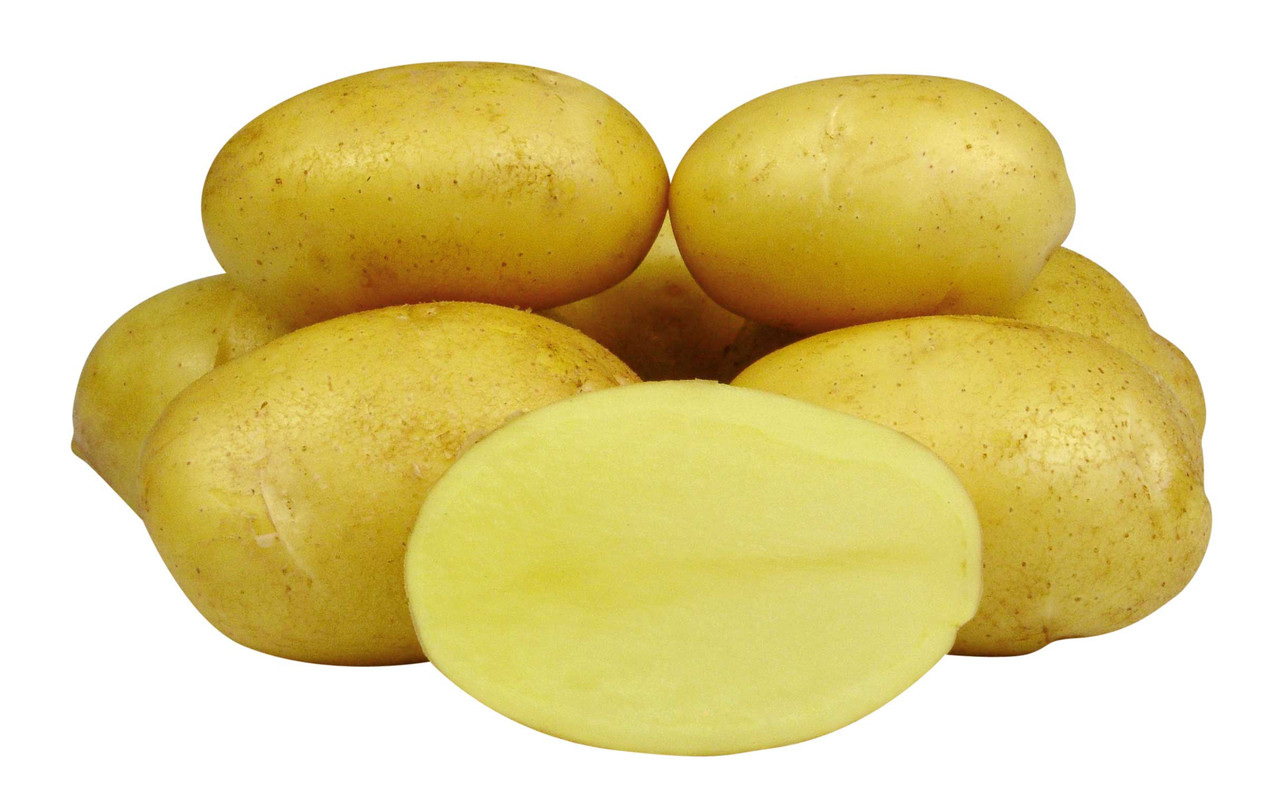 Картофель маделина фото