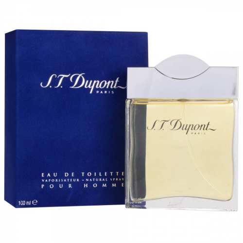 DUPONT men 100ml edT