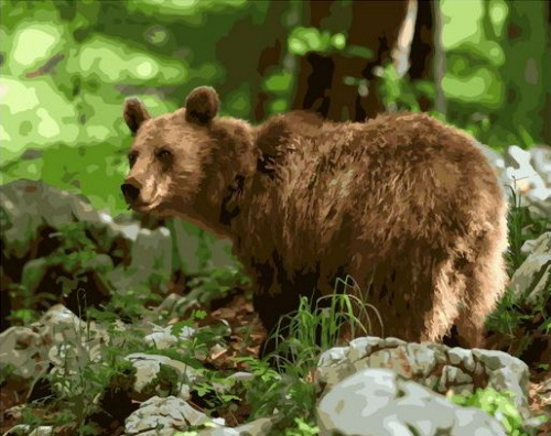 Картина по номерам 40х50 - Медведь в лесу