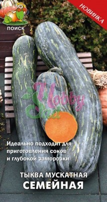 Тыква масляный король фото