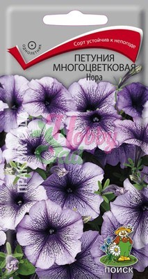 Цветы Петуния Нора F1 многоцветковая (20 шт) Поиск
