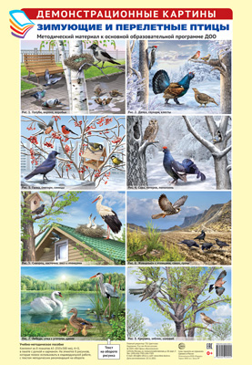 Демонстрационные картины А3. Зимующие и перелетные птицы. Методический материал к основной образовательной программе ДОО (8 картин А3+, этикетка с текстом беседы на обороте)