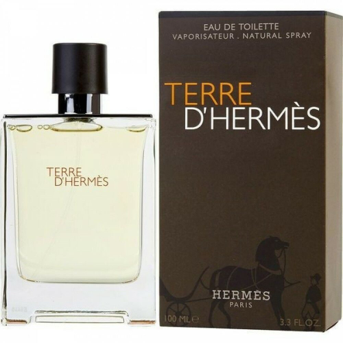 Hermes Terre D’Hermes EDP (для мужчин) 100ml (EURO)