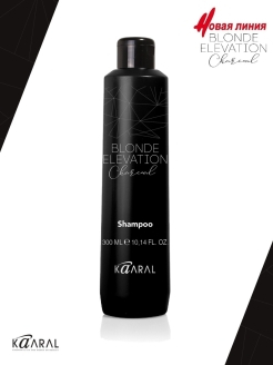 BLONDE ELEVATION CHARCOAL SHAMPOO ML 300 Черный угольный тонирующий шампунь для волос