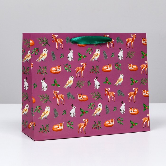 Пакет подарочный