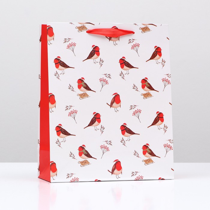 Пакет подарочный