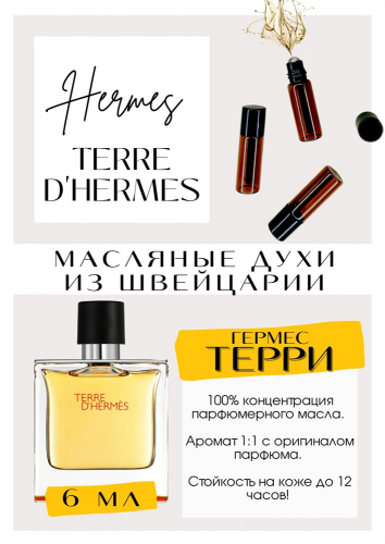Terre D Hermes / Hermes