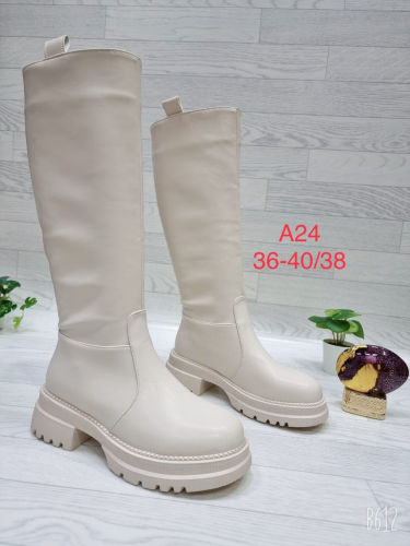 Blossom T-E2-14(A-24) Сапоги женские молочн иск кожа, байка