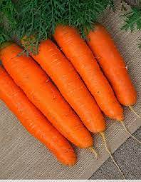 Морковь Детская сладость белый пакет